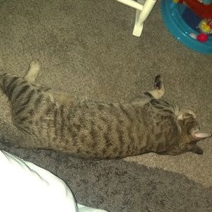 Meet your Posher, Emmagrace